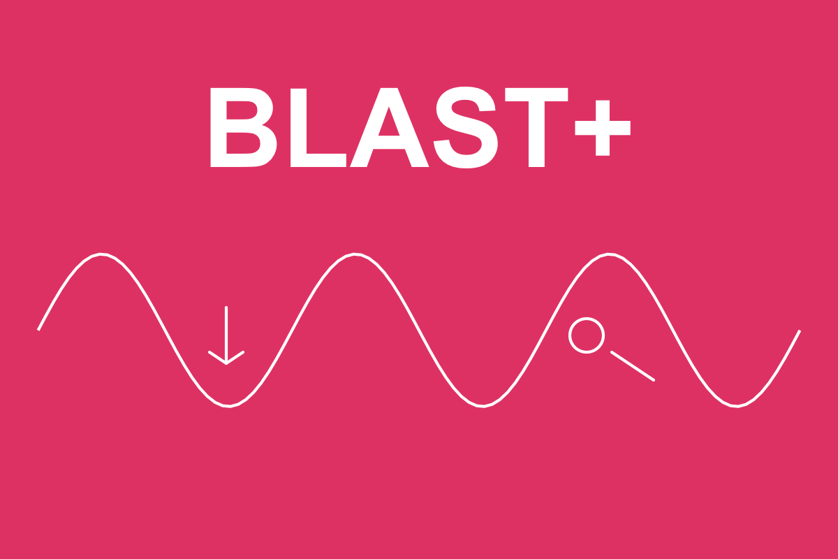 Setting up Local Swiss-Prot Database and BLAST Searching